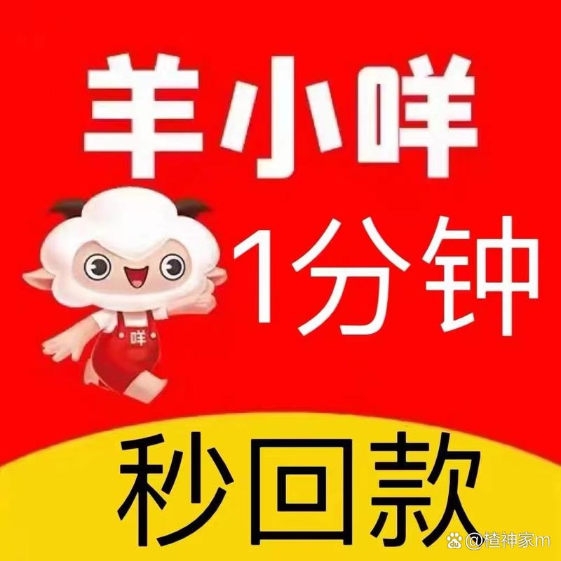 羊小咩公司客服电话是多少