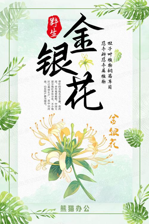 金瀛花公司客服电话是多少