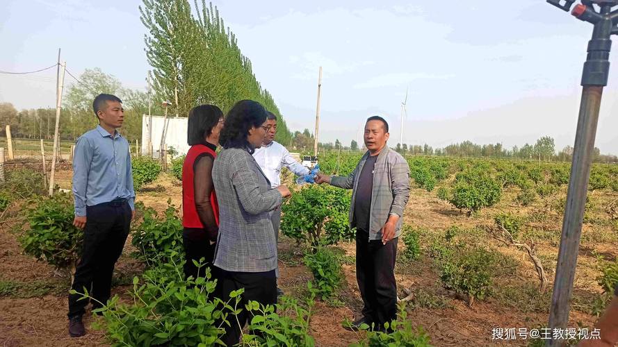 金瀛花公司客服电话是多少-第5张图片-优品飞百科