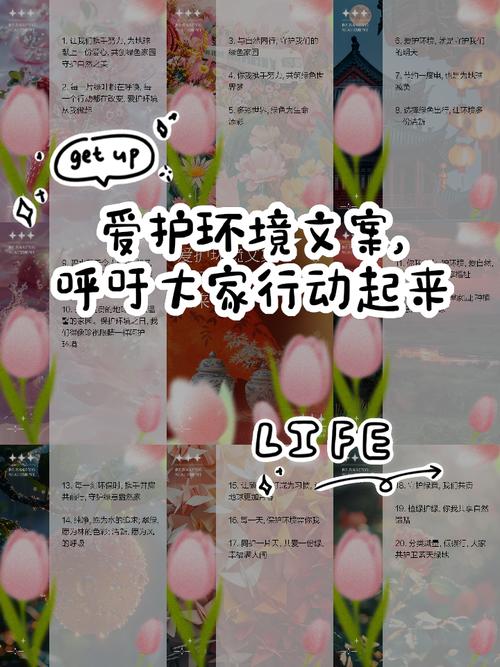 百顺宝借款正式启用客服热线-第7张图片-优品飞百科