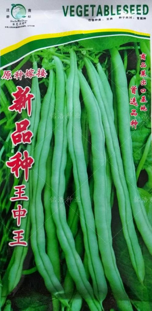 芸豆分新客服电话-第2张图片-优品飞百科