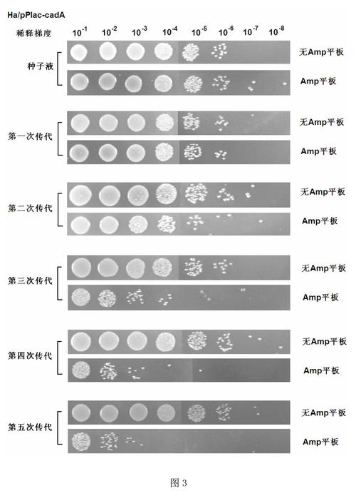 微粒分期全国客服电话-解决强制下款问题