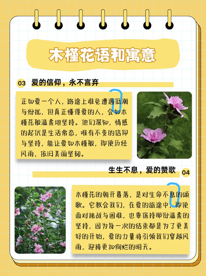 吉享花更新客服电话