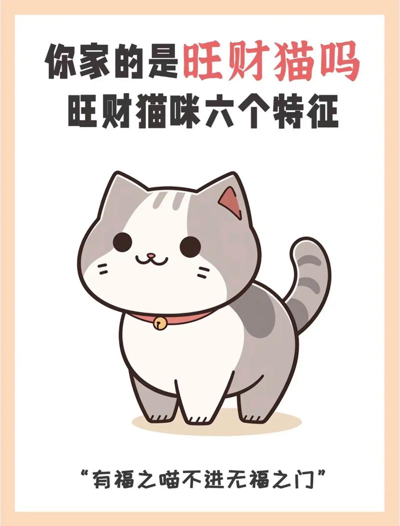 招财猫服务客服电话