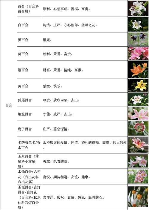 现代花官方客服电话