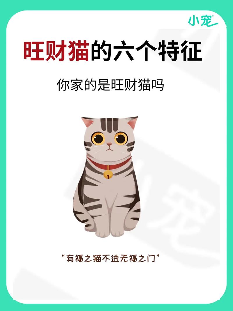 招财猫有限公司客服电话