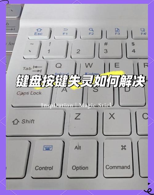 键盘不能用了按哪个键恢复？键盘不能使了？-第8张图片-优品飞百科