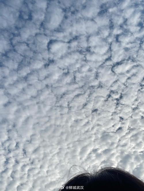 广饶15天天气预报，广饶十五天天气？-第7张图片-优品飞百科