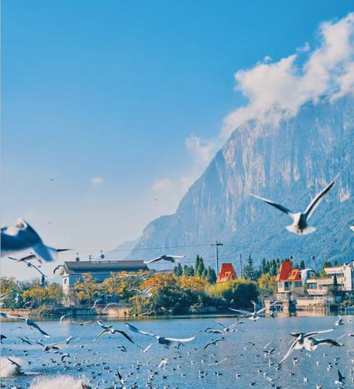 云南疫情旅行，云南旅游景点疫情-第5张图片-优品飞百科