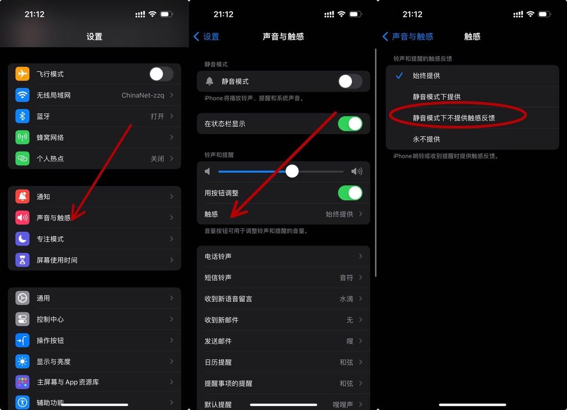 苹果铃声静音怎么消除，苹果手机铃声静音怎么消除？-第4张图片-优品飞百科