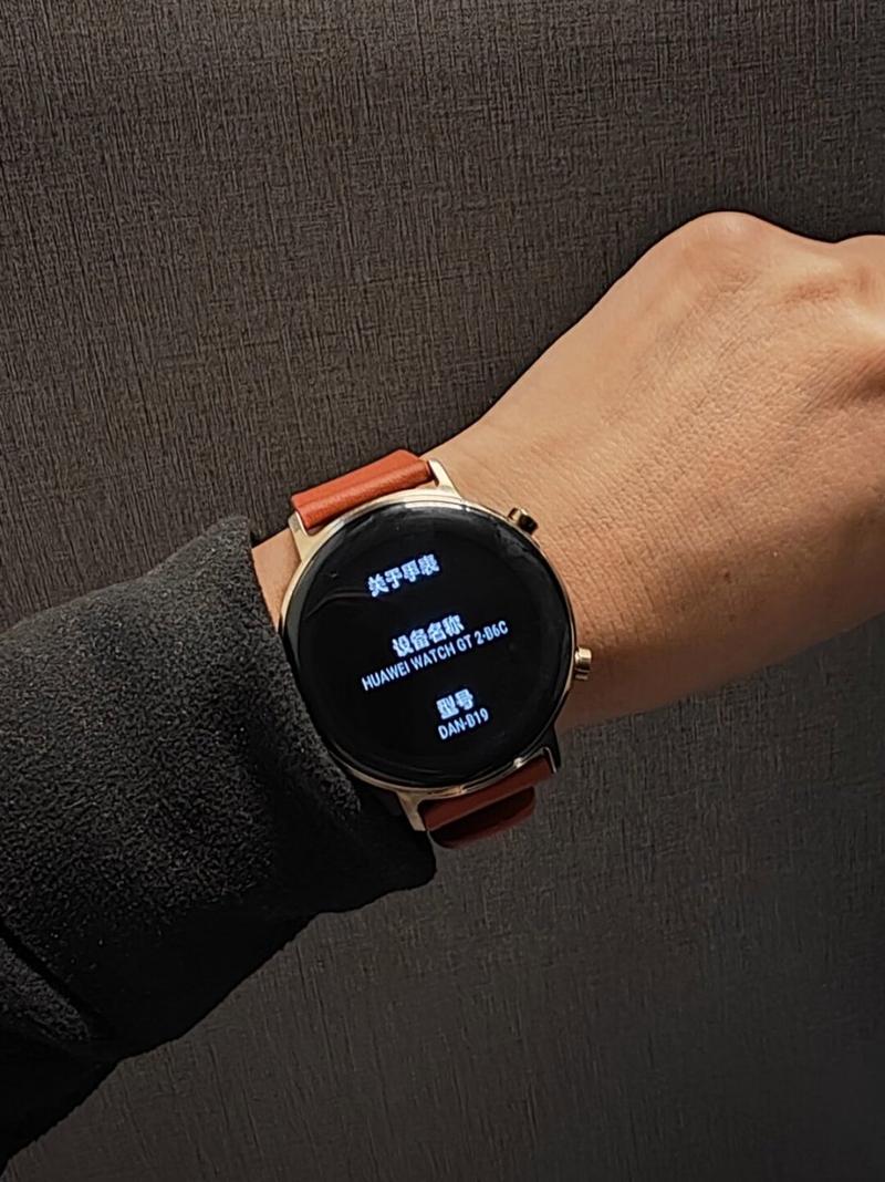 华为gt2手表功能设置，华为watch gt2功能设置-第3张图片-优品飞百科