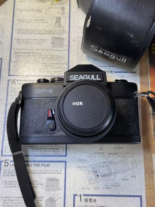 没有镜头的单反能拍照吗，单反相机没有镜头能拍照吗？-第3张图片-优品飞百科