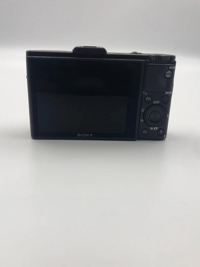 索尼rx1适合拍什么？索尼rx1相机优缺点？-第3张图片-优品飞百科