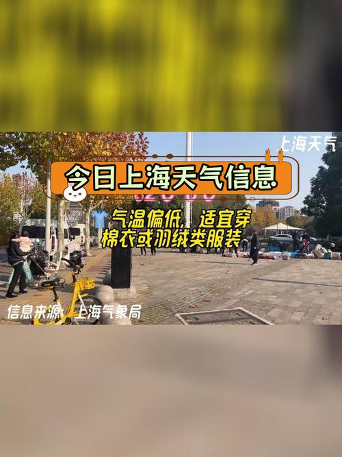 上海市嘉定区天气，下周上海将迎暴雪？