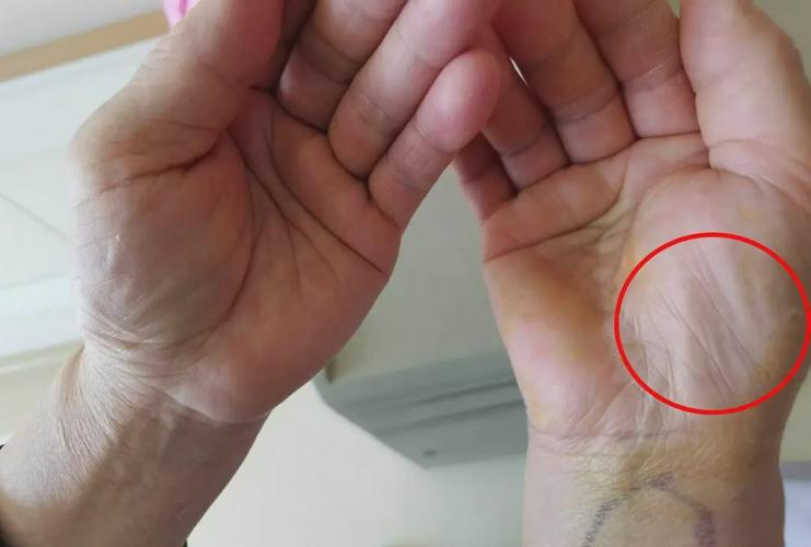 大鼠标和小鼠标哪个对手好？大鼠标和小鼠标优缺点？-第2张图片-优品飞百科