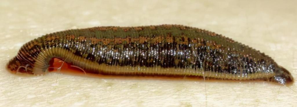 通山疫情捐赠？疫情捐款通道？-第7张图片-优品飞百科