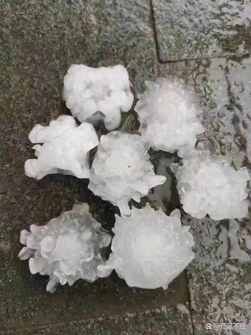 怀化洪江天气预报？怀化洪江未来十天天气情况？-第7张图片-优品飞百科