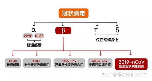 疫情咋来的？这疫情是怎么来的？-第5张图片-优品飞百科
