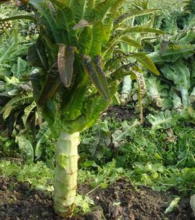 太原永安疫情，太原疫情官方信息-第6张图片-优品飞百科