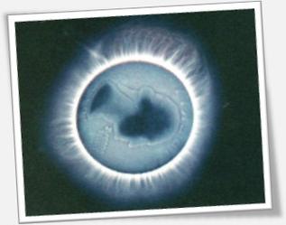 卡尔良相机哪里可以买，卡尔良能量相机出售