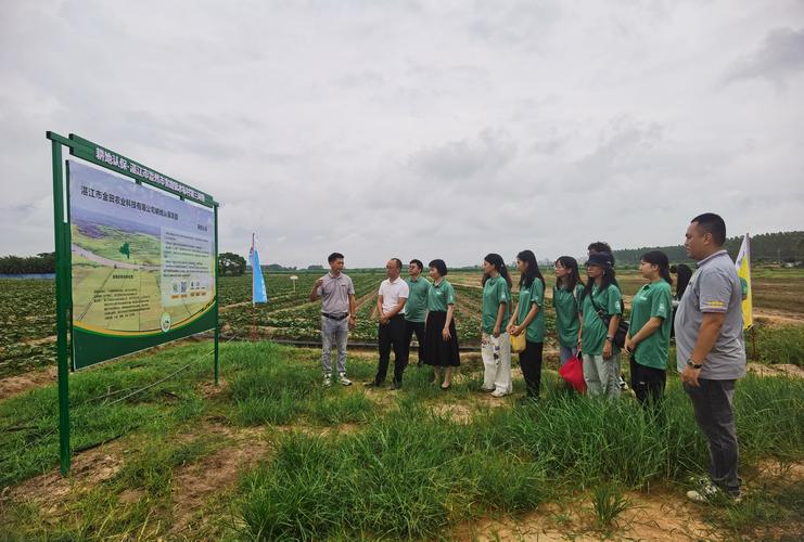 雷州的疫情，雷州疫情长安区多少例？-第5张图片-优品飞百科