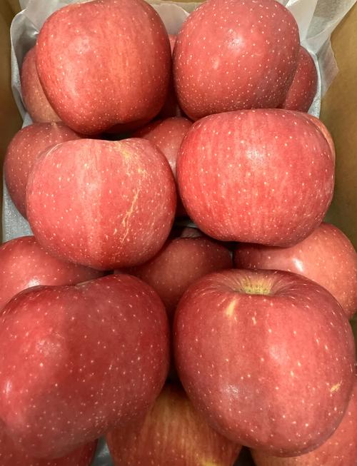 红富苹果今年大约什么费用，红富苹果市场行情-第3张图片-优品飞百科