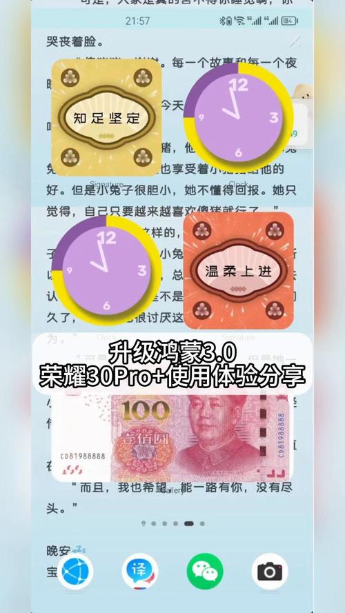 荣耀30s怎么升级鸿蒙？荣耀30s升级鸿蒙如何改回去？-第4张图片-优品飞百科