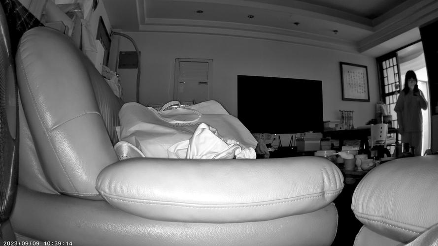 家用监控摄像头安全吗？家庭用的监控摄像头？-第6张图片-优品飞百科