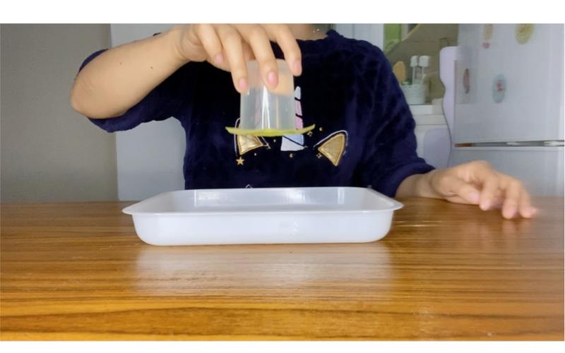 疫情家园互动，疫情期间家园共育活动-第1张图片-优品飞百科