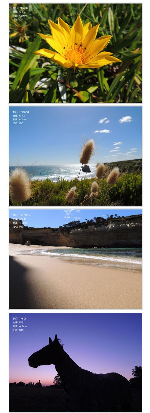 尼康p510怎么自拍，尼康p510相机怎么拍产品？-第5张图片-优品飞百科