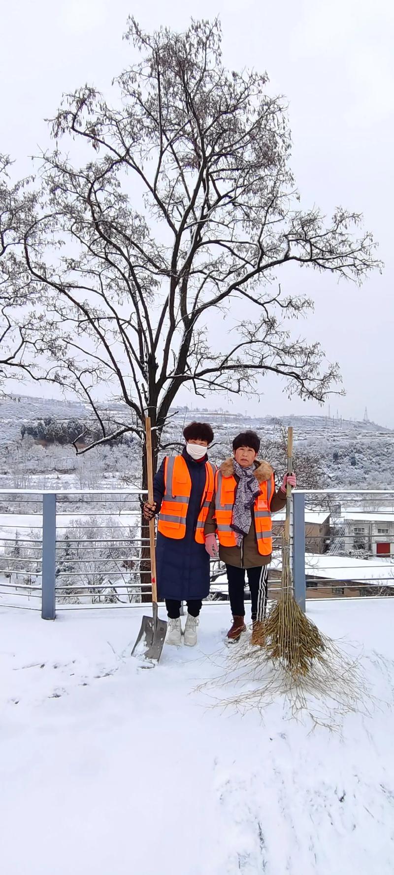 疫情时期扫雪，疫情时期扫雪作文-第7张图片-优品飞百科