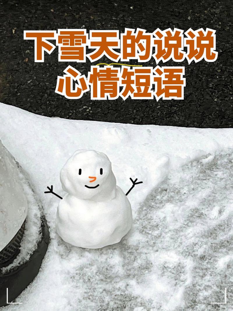 瑞雪带走疫情，瑞雪大不大？-第7张图片-优品飞百科