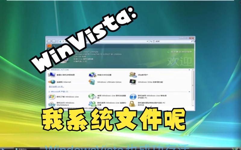 vista系统怎么样，vistaserver