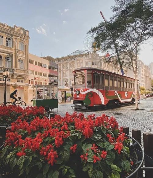 魁北克市疫情，魁北克政府官方网站？-第4张图片-优品飞百科