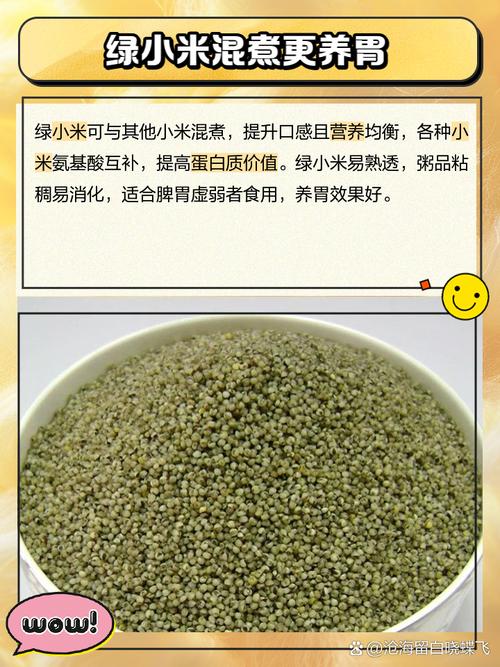 绿米和小米是什么关系，绿米和小米什么区别？-第5张图片-优品飞百科