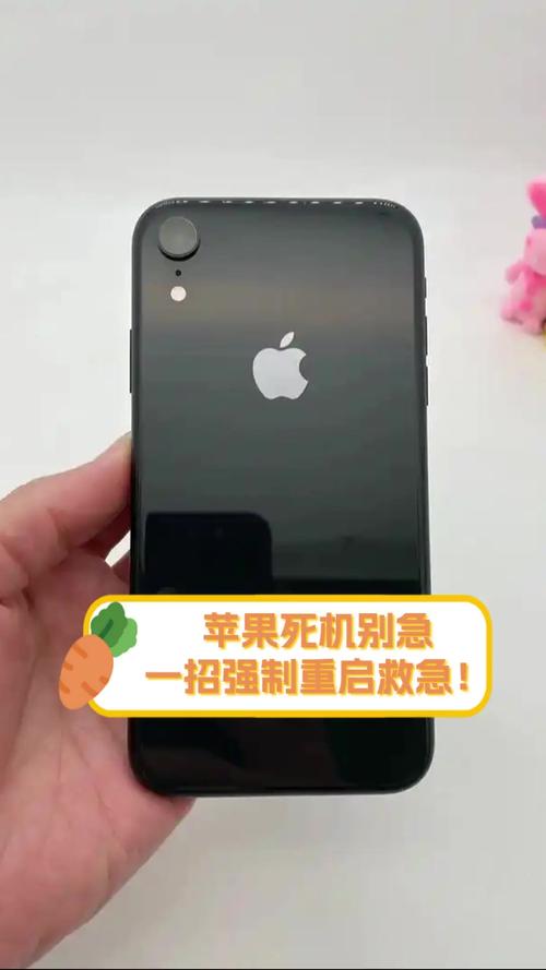 苹果x死机了怎么强制关机，苹果x死机强制重启方法-第5张图片-优品飞百科