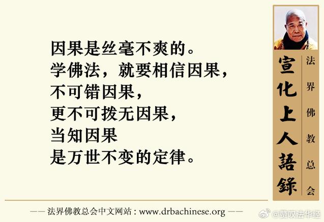 因果看疫情，疫灾佛教因果-第5张图片-优品飞百科