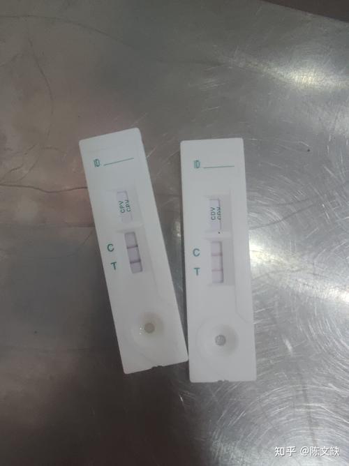 浙江疫情试纸？浙江疫情输入病例？-第3张图片-优品飞百科