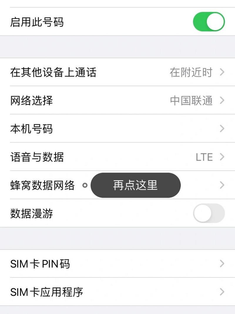 苹果lte怎么设置？苹果lte怎么设置apn？-第2张图片-优品飞百科