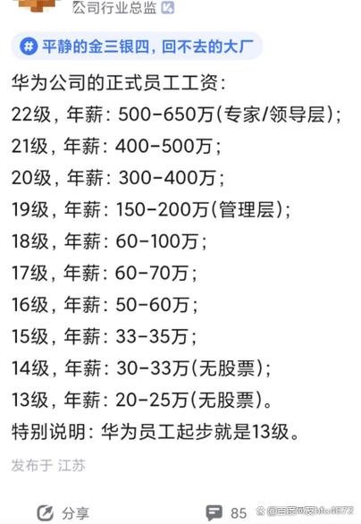 华为21级待遇怎么样？华为20级员工待遇？-第6张图片-优品飞百科