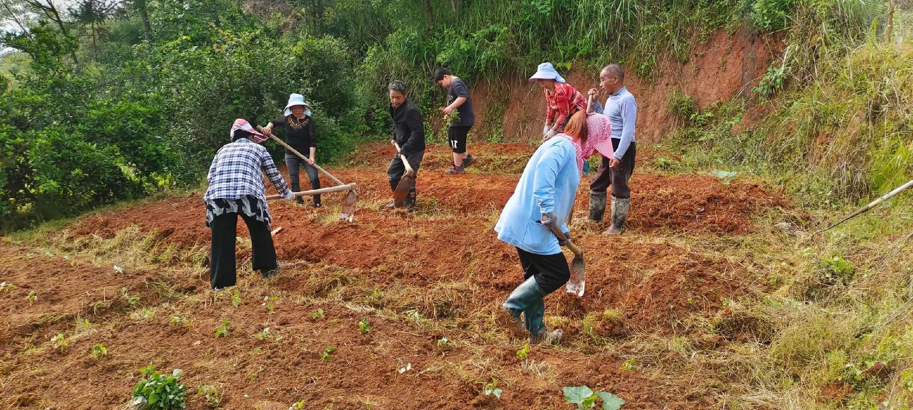 乡村怎么确定疫情，乡村疫情防控过程-第2张图片-优品飞百科
