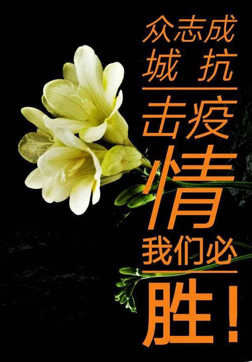 抗疫情的新诗，抗疫情的新诗歌朗诵？