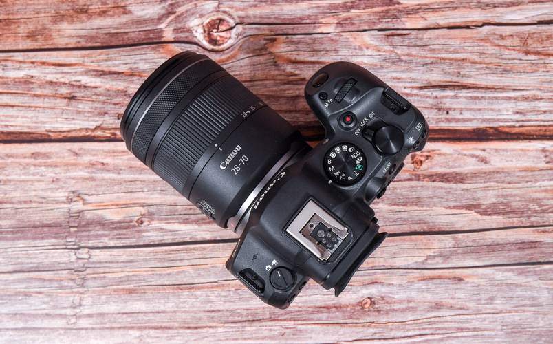 佳能微单打鸟镜头推荐？佳能微单打鸟镜头推荐型号？