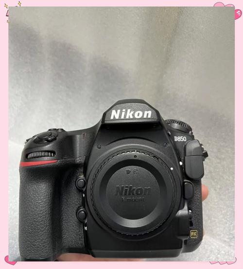 佳能微单打鸟镜头推荐？佳能微单打鸟镜头推荐型号？-第2张图片-优品飞百科