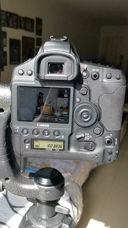 佳能微单打鸟镜头推荐？佳能微单打鸟镜头推荐型号？-第3张图片-优品飞百科