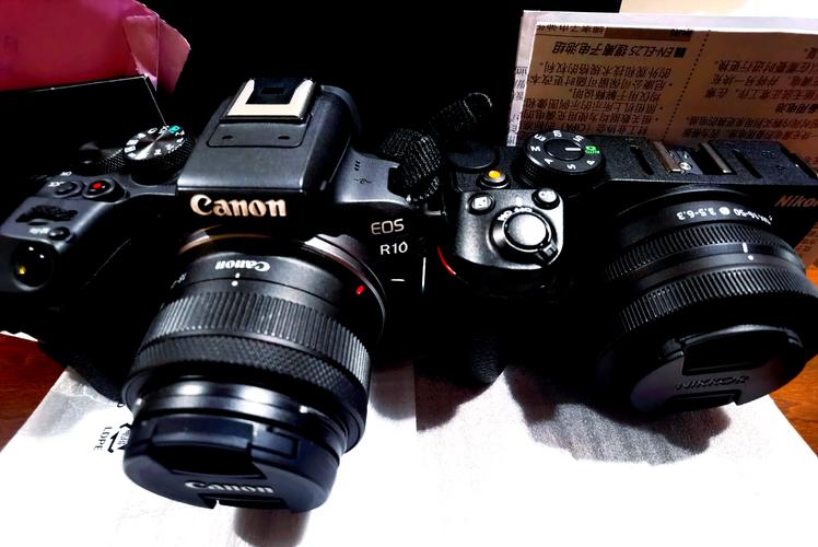 佳能微单打鸟镜头推荐？佳能微单打鸟镜头推荐型号？-第4张图片-优品飞百科