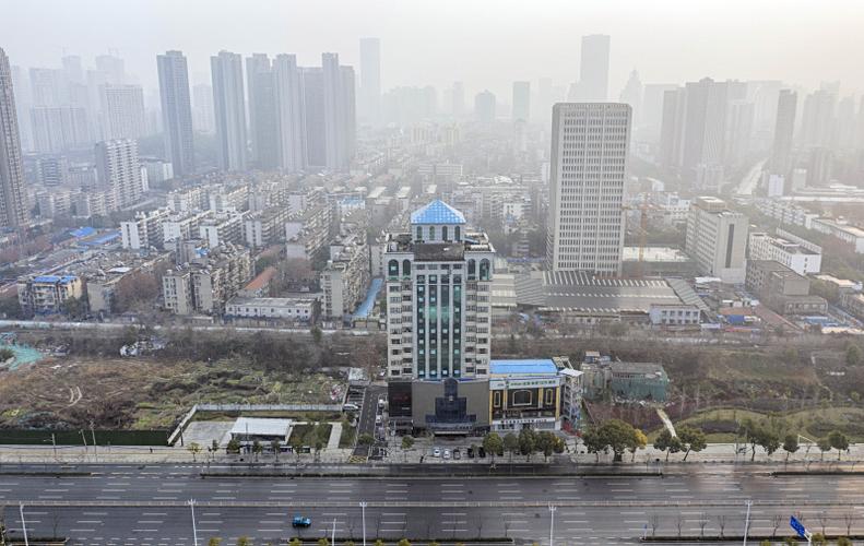 政府对此次疫情？政府对此次疫情的支持？-第3张图片-优品飞百科