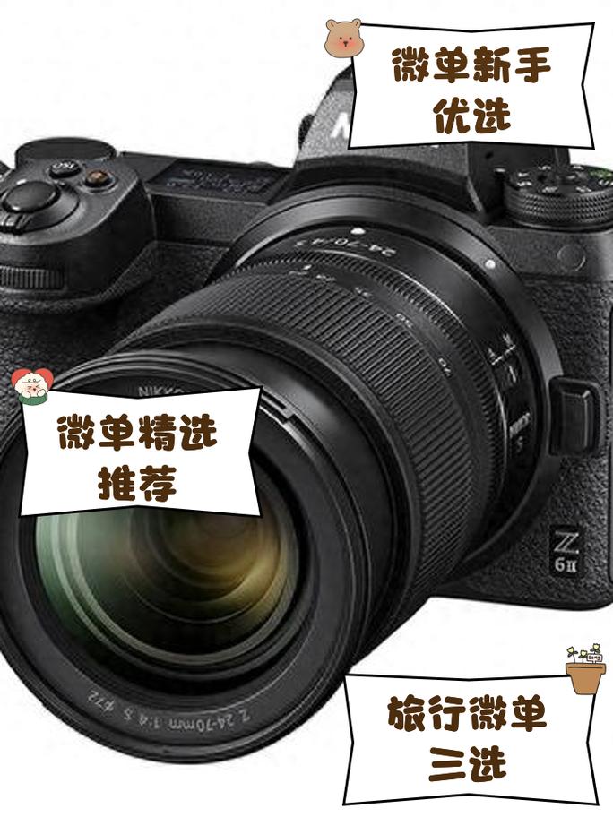索尼最便宜的微单相机，索尼最便宜的微单相机型号-第3张图片-优品飞百科