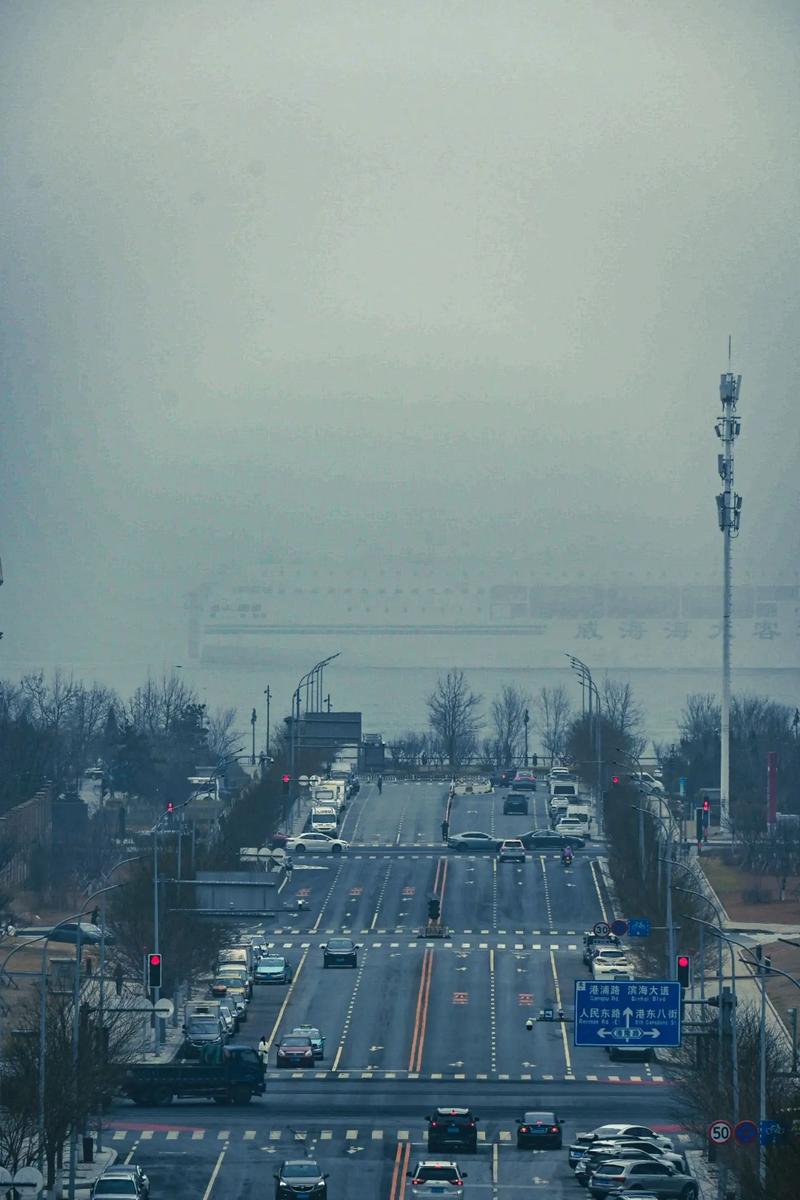 丹东东港天气预报，丹东东港天气预报查询15天？-第4张图片-优品飞百科