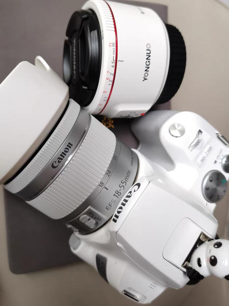 佳能200d属于什么档次，佳能200d单反相机怎么样